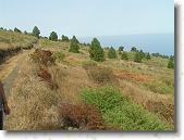 PICT1776 * 2048 x 1536 * (1.4MB)