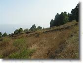 PICT1777 * 2048 x 1536 * (1.55MB)