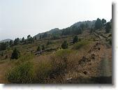 PICT1780 * 2048 x 1536 * (1.26MB)