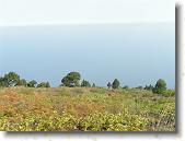 PICT1781 * 2048 x 1536 * (1.27MB)