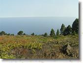 PICT1782 * 2048 x 1536 * (1.52MB)