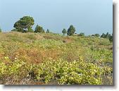 PICT1783 * 2048 x 1536 * (1.45MB)