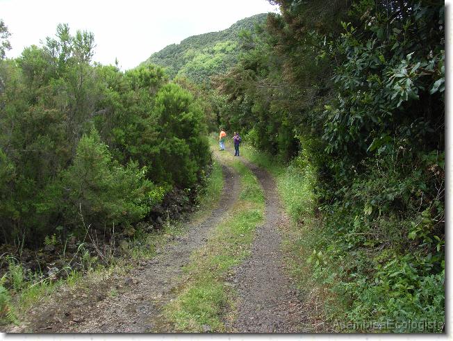 Diapositiva siguiente