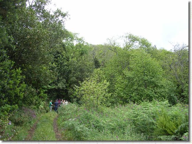 Diapositiva siguiente