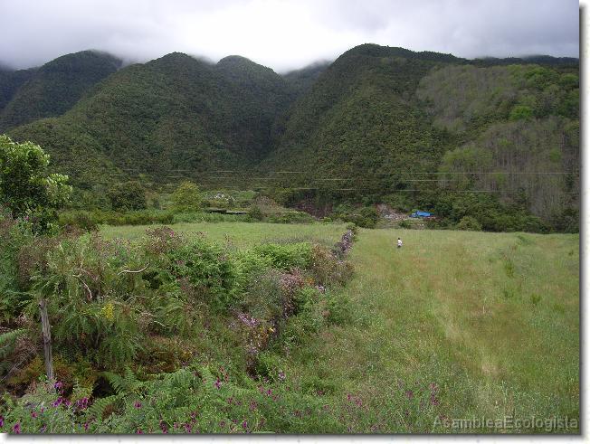 Diapositiva siguiente