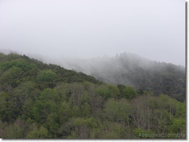 Diapositiva siguiente