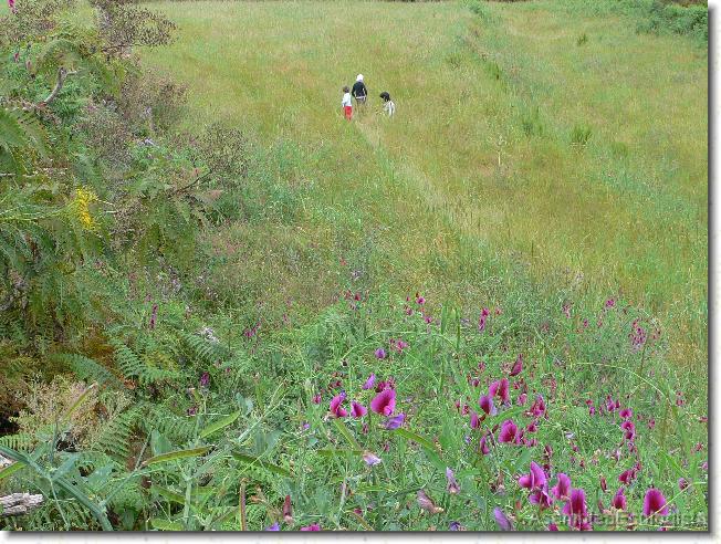 Has llegado a la última diapositiva