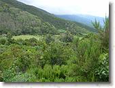 pavona01 * 2048 x 1536 * (1.51MB)