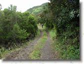 pavona02 * 2816 x 2112 * (2.24MB)