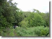 pavona04 * 2816 x 2112 * (2.22MB)