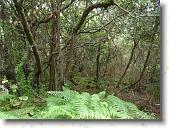 pavona05 * 2816 x 2112 * (2.07MB)