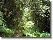 pavona07 * 2816 x 2112 * (2.39MB)