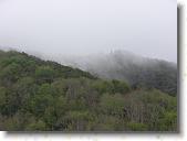 pavona13 * 2816 x 2112 * (2.33MB)