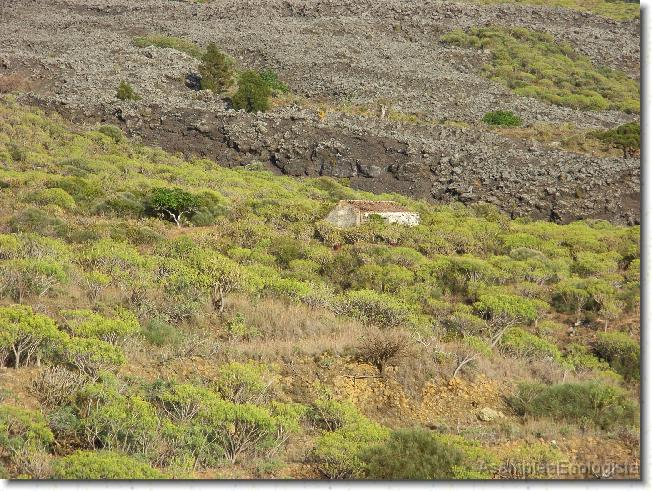 Diapositiva siguiente