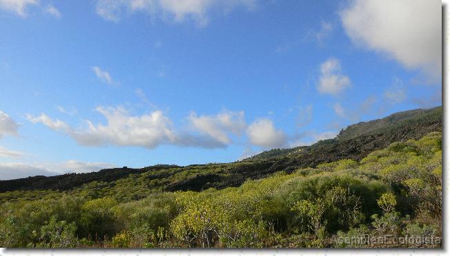 Diapositiva siguiente