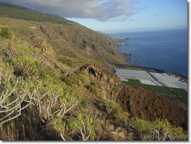 Diapositiva siguiente