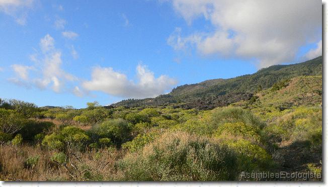 Diapositiva siguiente