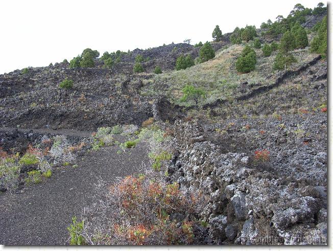 Diapositiva siguiente