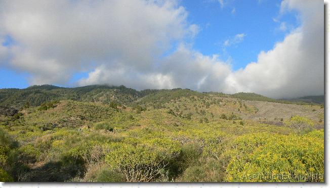 Diapositiva siguiente