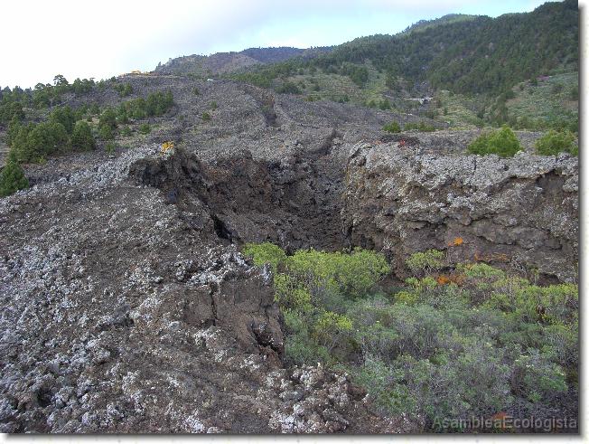 Diapositiva siguiente