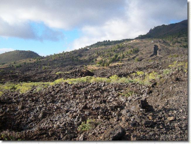 Diapositiva siguiente