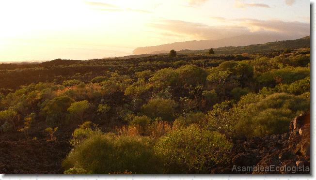 Has llegado a la última diapositiva