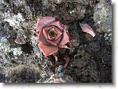 tamanca04 * 2816 x 2112 * (2.16MB)