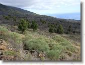 tamanca12 * 2816 x 2112 * (2.38MB)